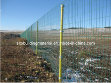 Euro Fence/Welded Wire Mesh Fence/Metal Wire Fence/Welded Wire Mesh Fence