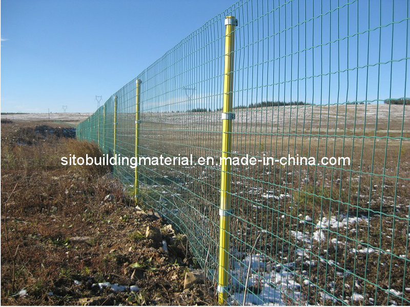 Euro Fence/Welded Wire Mesh Fence/Metal Wire Fence/Welded Wire Mesh Fence