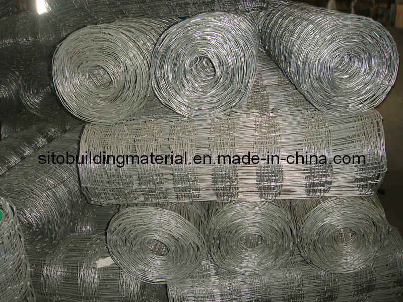Grass Land Fence/Field Fence/Cattle Fence/Wire Mesh Fence