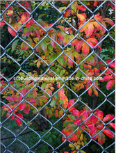 Chain Link Fence/Wire Mesh Fence/Sports Field Fence