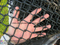 Chainlink Fence/Sports Field Fence/ Security Fence/Safe Guard Fence/Chain Link Wire Mesh