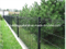 Residential Hot-Dipped Fence/Galvanized Fence/Fence Netting/ Fence Panel/Welded Wire Mesh Fence