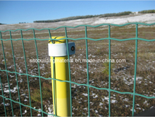 PVC Coated Fence/Welded Wire Mesh Fence/Euro Fence/Holland Fence