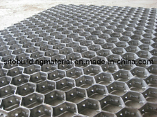 Hex Mesh