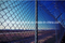 PVC Coated Chainlink Fence/Chain Link Fence/Fence Netting/Wire Mesh Fence