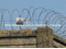 Razor Barbed Wire/Razor Wire/Razor Wire