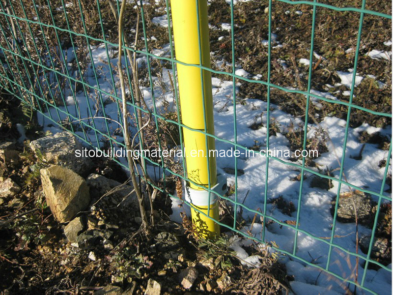 Welded Wire Mesh/Euro Fence/Metal Wire Mesh Fence