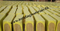 Rock wool panel