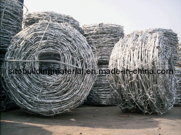 Barbed Wire/Barbed Wire/Barbed Wire Mesh