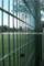 Double Welded Wire Mesh Fence/Welded Wire Mesh Fence/Fence Panel
