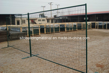 Temporary Fence Panel/Isolation Fence Panel/Steel Pipe Fence/Crowded Control Fence Panel
