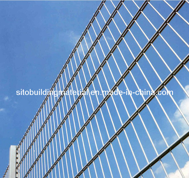 Double Wire Fence/ Welded Wire Mesh Netting/Fence Panel