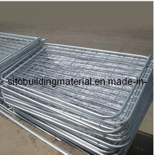 Welded Temporary Fence Panel/Crowded Control Fence/Temporary Fence/Steel Pipe Fence
