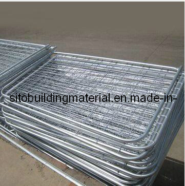 Welded Temporary Fence Panel/Crowded Control Fence/Temporary Fence/Steel Pipe Fence
