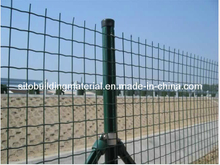Euro Welded Wire Mesh/Wire Mesh Fence/Wire Mesh Fence Netting