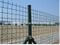 Euro Welded Wire Mesh/Wire Mesh Fence/Wire Mesh Fence Netting