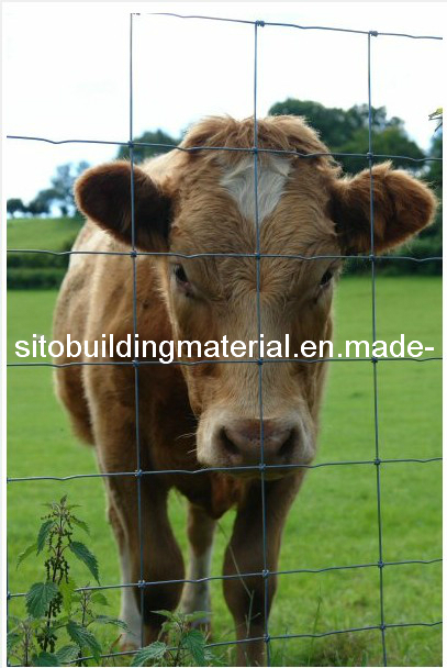 Grass Land Fence/Cattle Fence/Farm Fence/Field Fence/ Fence Netting