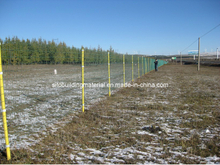 Holland Welded Wire Mesh/Welded Wire Mesh Fence/Euro Fence