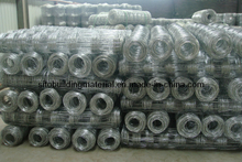 Field Fence/Grass Land Fence/Cattle Fence/Wire Mesh Fence/Animal Fence