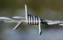 Barbed Wire Mesh/Iron Barbed Wire/Barbed Wire Mesh/Galvanized Barbed Wire