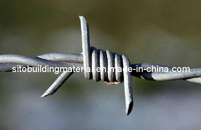 Barbed Wire Mesh/Iron Barbed Wire/Barbed Wire Mesh/Galvanized Barbed Wire