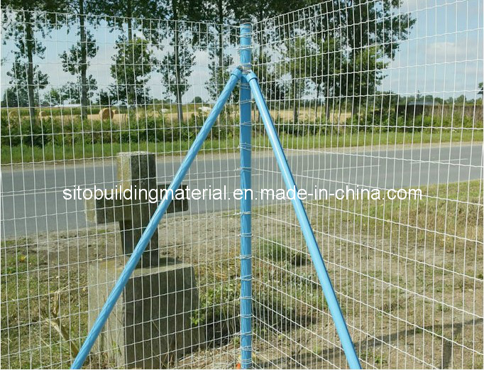 Euro Fence/Welded Wire Mesh Fence/Wire Mesh Fences