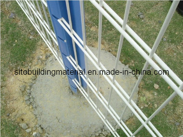 Fence Panel/ Wire Mesh Fence/ Fence Netting/Welded Wire Mesh Fence
