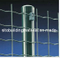 Holland Electric Welded Wire Mesh/Euro Fence/Welded Wire Mesh Fence