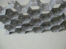 Hex Mesh