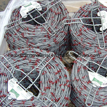 Barbed Wire/Barbed Wire Fence/Iron Barbed Wire/Galvanized Barbed Wire