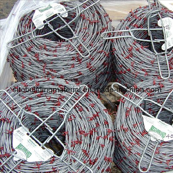 Barbed Wire/Barbed Wire Fence/Iron Barbed Wire/Galvanized Barbed Wire